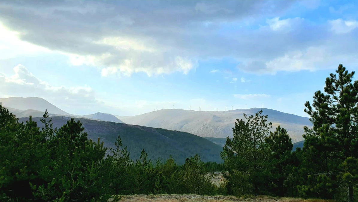 Neka druga vrsta izolacije