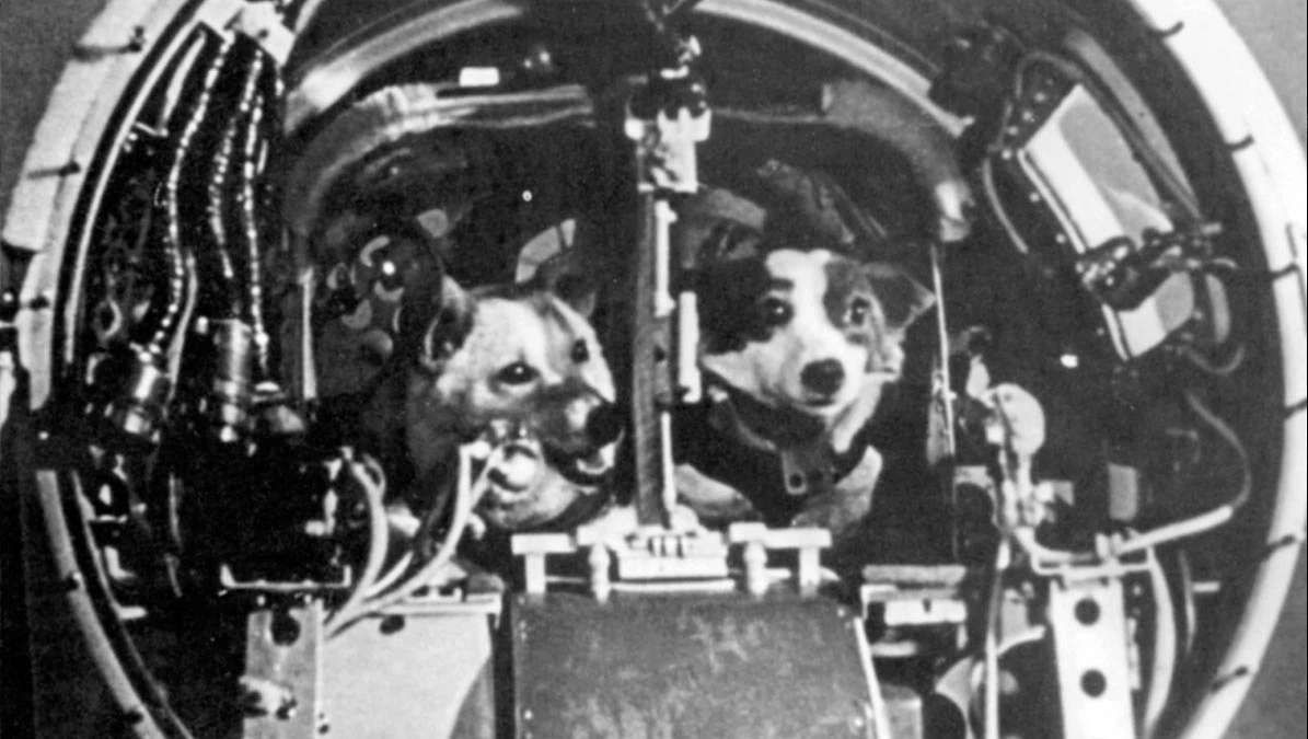 Belka i Strelka
