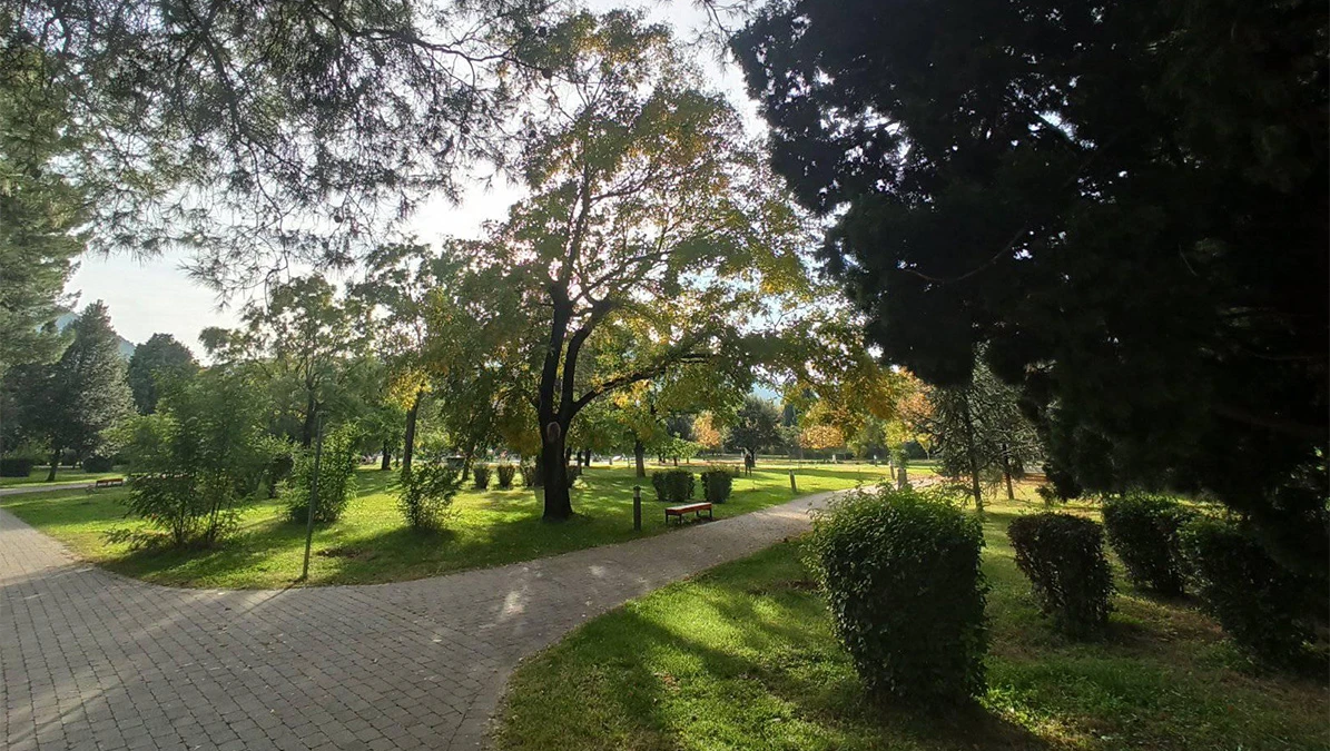 Kao da nije došla jesen