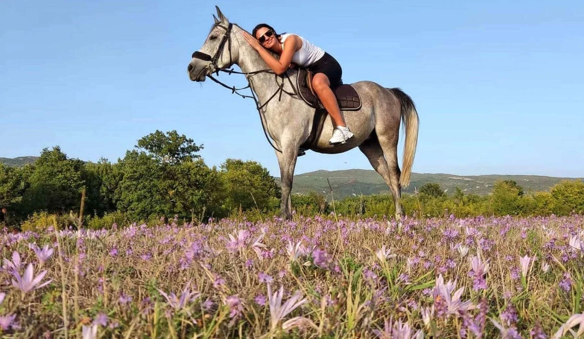 Ljubav prema konjima pretvorile u atrakciju 