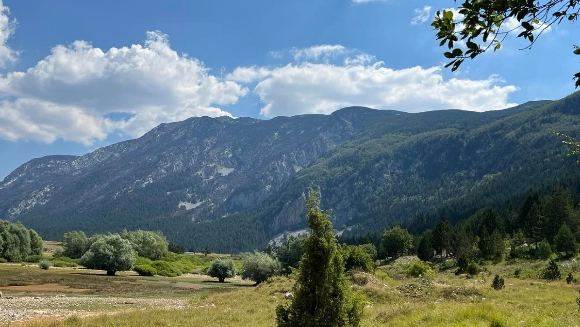 Čvrsnica ljeti