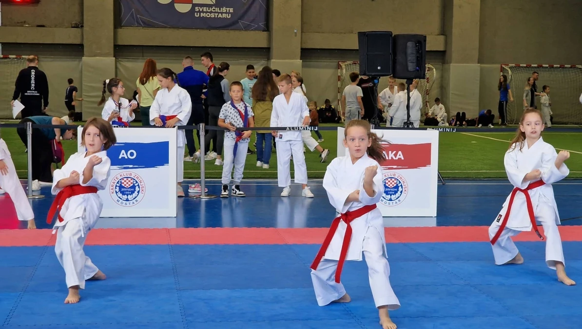 Prvi Zrinjski karate kup