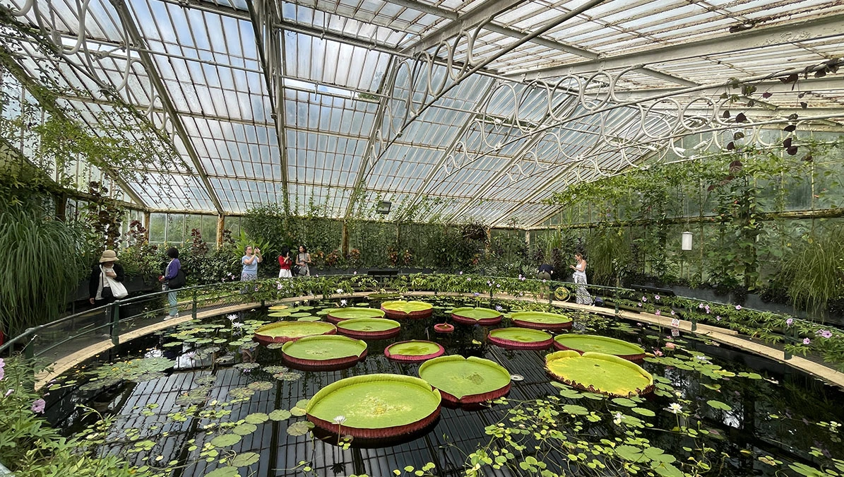 Kew Gardens