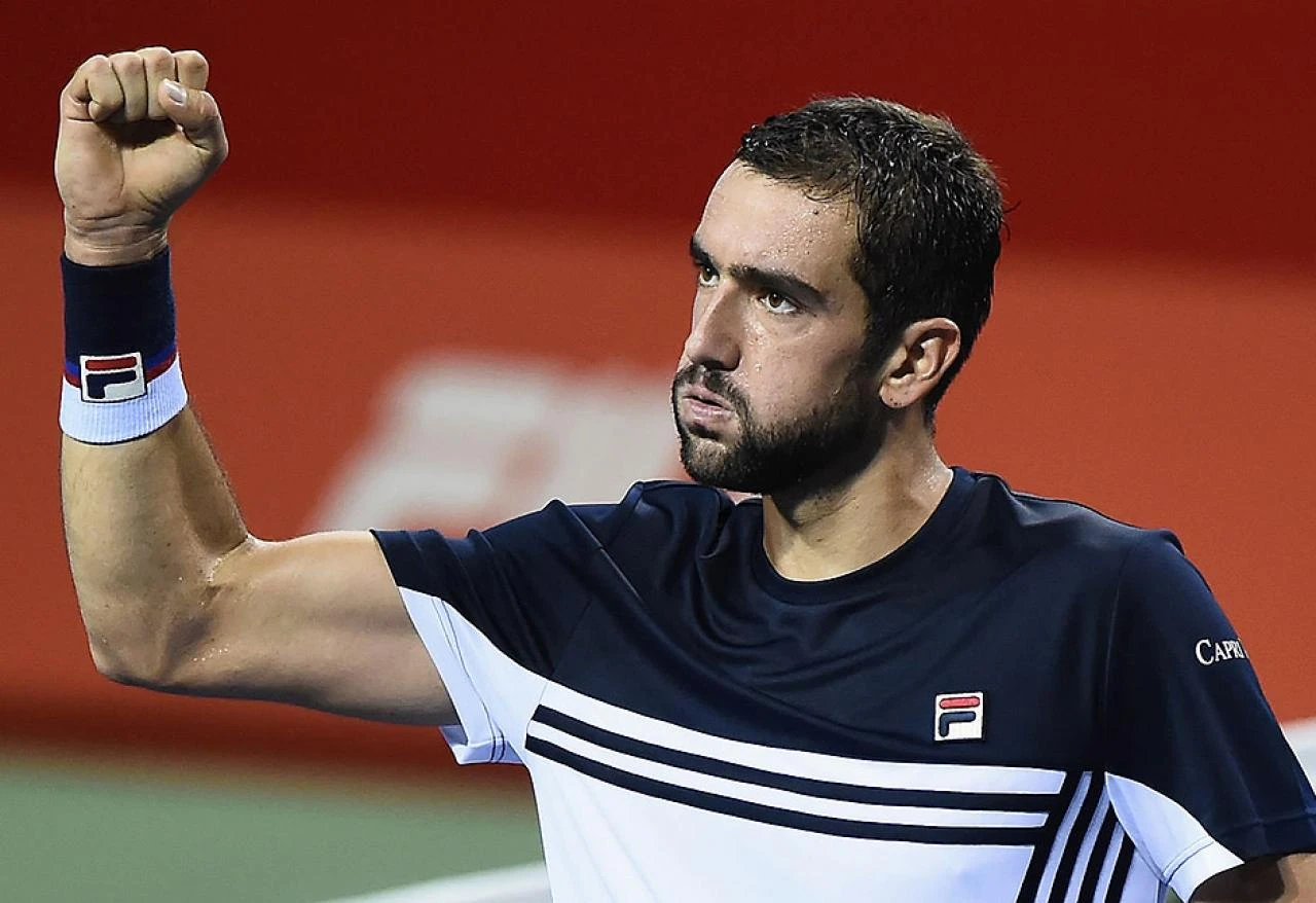 ATP: Čiliću ranking karijere