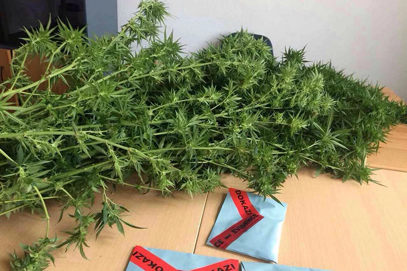 Policija na dvije lokacije oduzela drogu