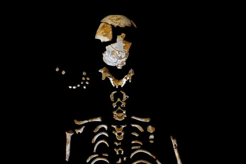 VIDEO | Neandertalci nisu bili primitivniji od modernog čovjeka