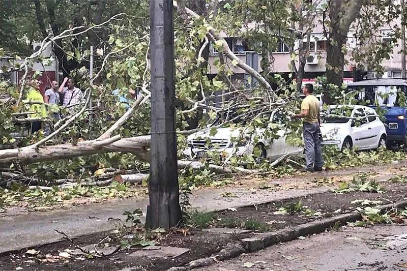 FOTO | Mostar: Nevrijeme 'poharalo' grad, vjetar čupao stabla