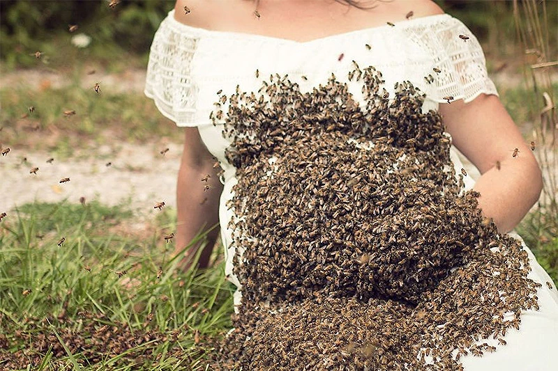 Trudnica pozirala s više od 20 tisuća pčela na svom trbuhu