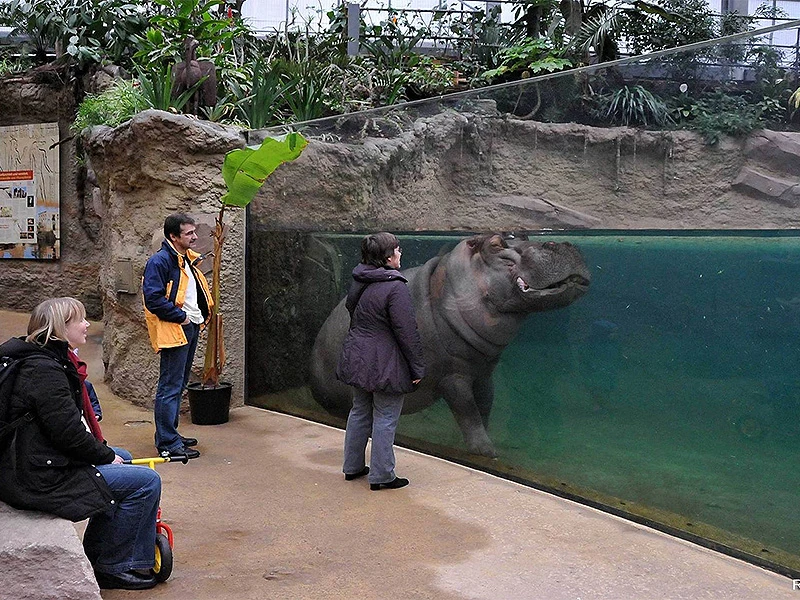 Amerikanka oporučno ostavlja 22 mil. dolara zoološkom vrtu