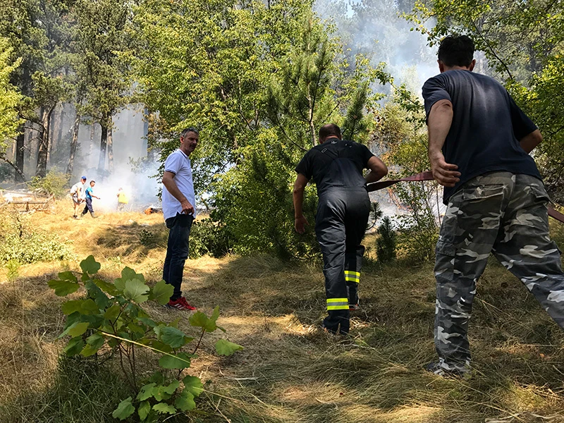 Ekocid na Rujištu: Stanje alarmantno, borimo se, ali sva šuma će stradati