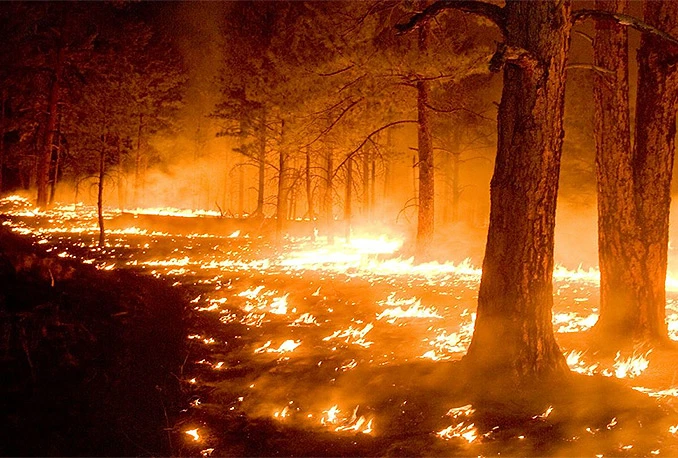 Požar se širi prema planini Ljubuši, sumnja se u podmetanje požara