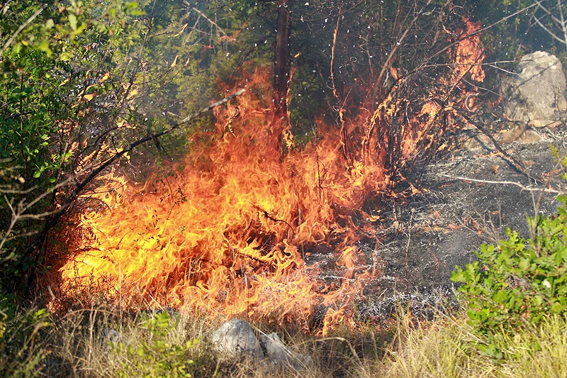 Zbog izazivanja požara uhićeno 14 osoba