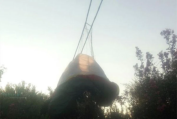 Ljubuški: Paraglajdera od teškog pada spasili električni kablovi i maslina