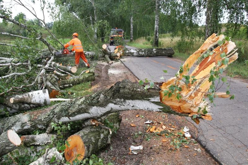 U velikom nevremenu život izgubilo pet osoba