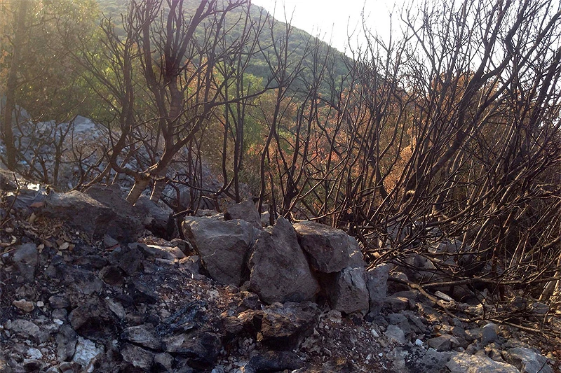 Neum: Požarište pod stalnom kontrolom