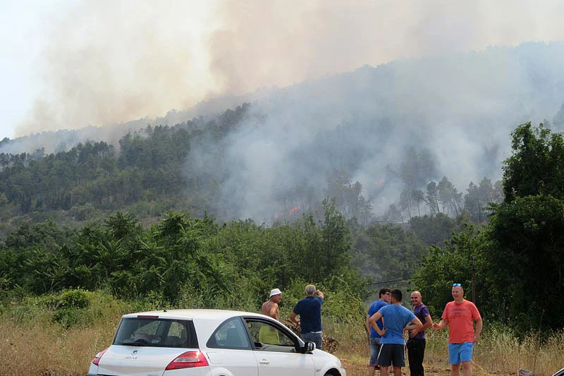 VIDEO | Ljubuški: Kanaderi ugasili veliki požar