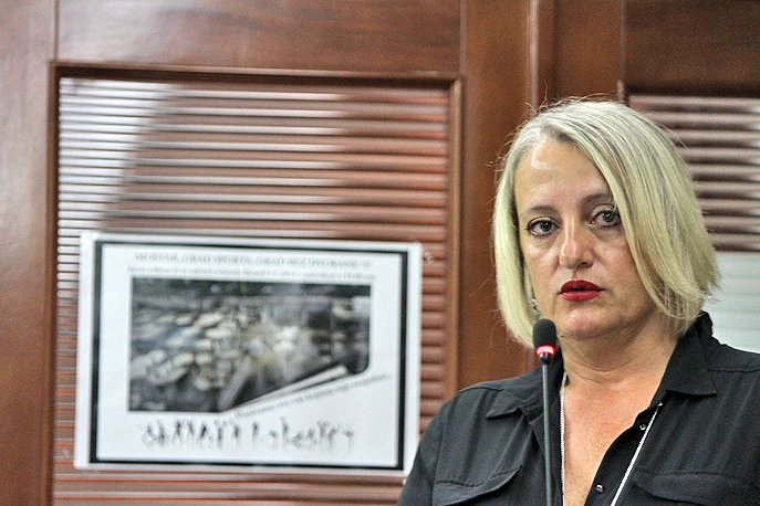 HSP za jednog kandidata: Devedesetka treba u Predsjedništvo BiH
