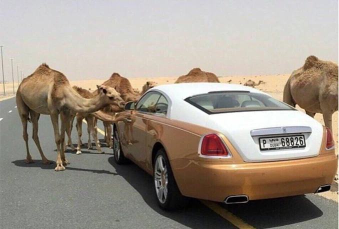 Kako žive bogata djeca Dubaija