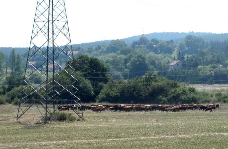 Tomislavgrad rekao NE termoelektrani