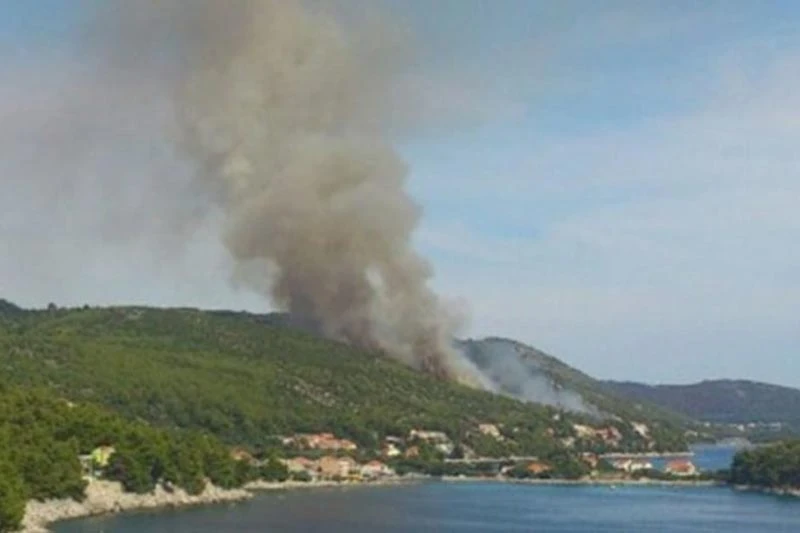 Vatrogasci uspjeli obraniti kuće u Neumu