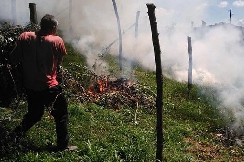 VIDEO | Spalio malinjak od tri dunuma: Ne mogu je davati za 1,5 KM