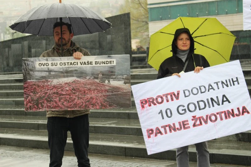 Zabrana uzgoja životinja u svrhu proizvodnje krzna stupa na snagu 2028. godine