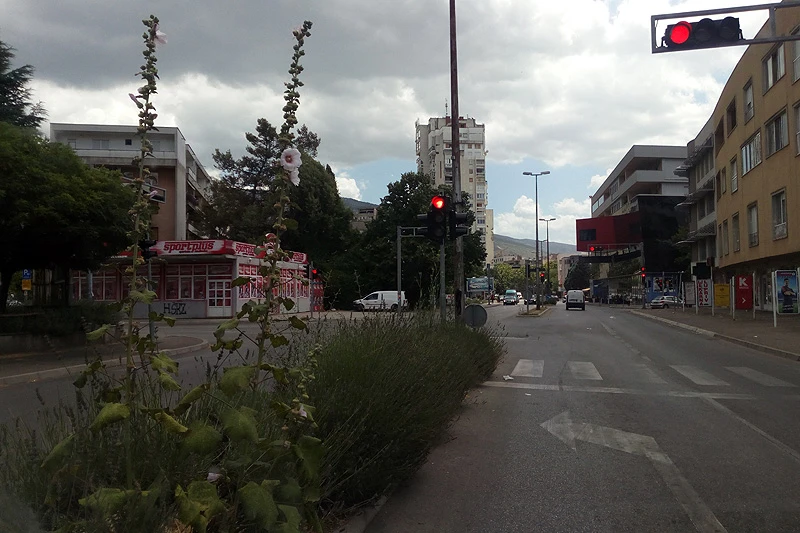 Mostarska džungla na asfaltu