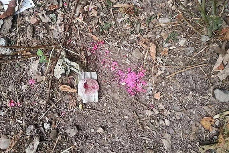 BiH: Epidemija mišje groznice