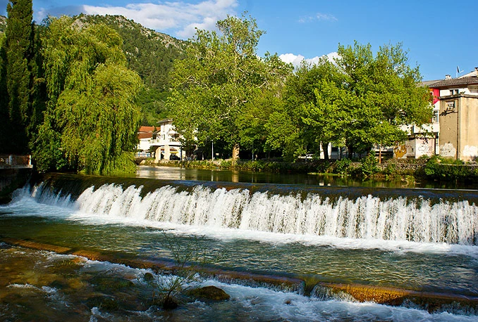 Stolački trovači se kriju iza deratizacije