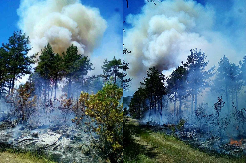 Ljubuški i vrgorački vatrogasci zajedno gasili veliki požar