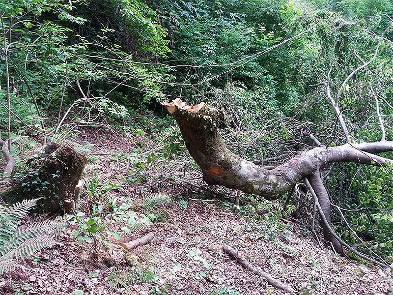 Iživljavanje nad planinarskim stazama Prenja!