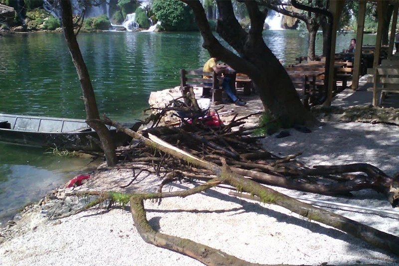 Čisto i svijetlo: Kravice spremne za kupače