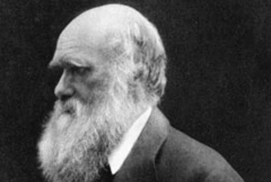 Više od polovice stanovništva BiH ne prihvaća teoriju evolucije