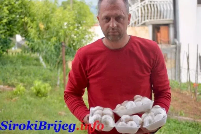 Nije sve u smilju: Gljive iz Širokog Brijega polako i sigurno zauzimaju tržište
