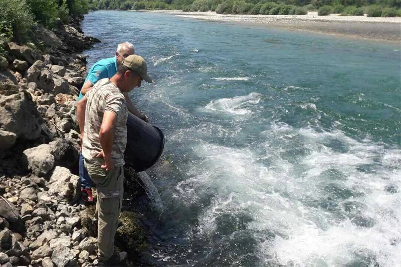 Čapljina: U Neretvu pušteno 14.000 komada pastrve