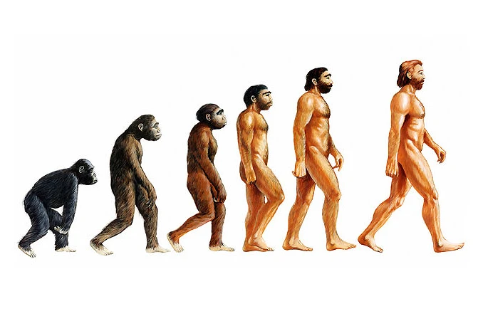 Srpski znanstvenici bliski crkvi traže izbacivanje teorije evolucije s banjalučkog sveučilišta