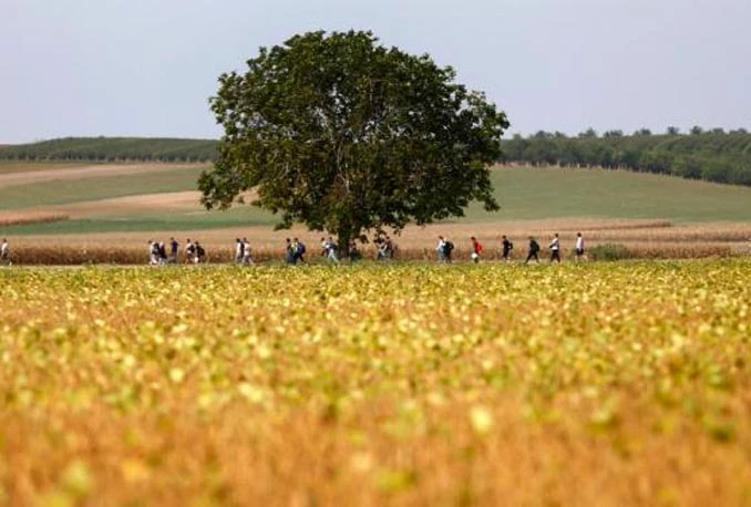 Poljska odbija primiti migrante unatoč pritiscima EU