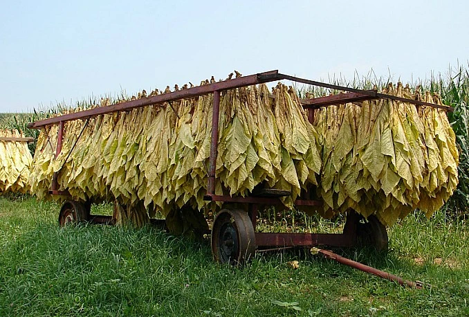Uhićeni jer su krijumčarili meso i duhan iz BiH u Hrvatsku