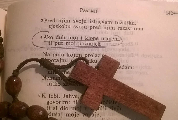 Katolici u BiH najugroženiji dio Crkve u Europi