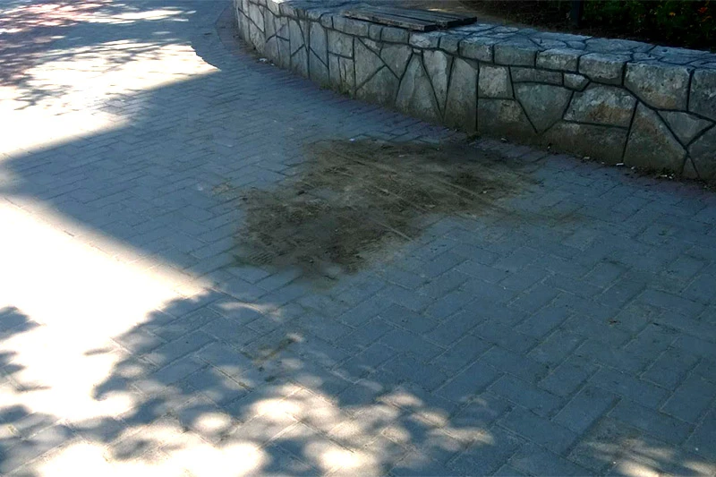 Mi opet pišemo jer oni opet ne čiste
