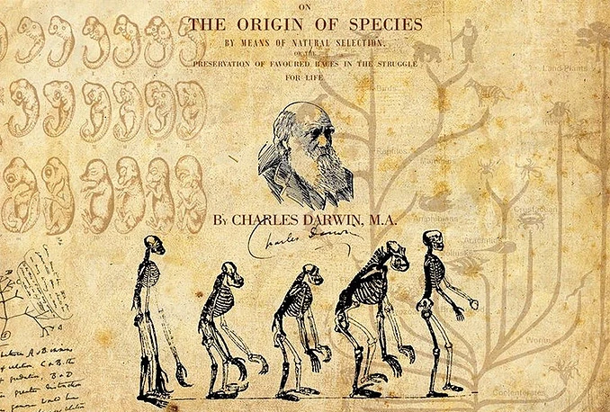 Akademici u Srbiji niječu Darwinovu teoriju evolucije