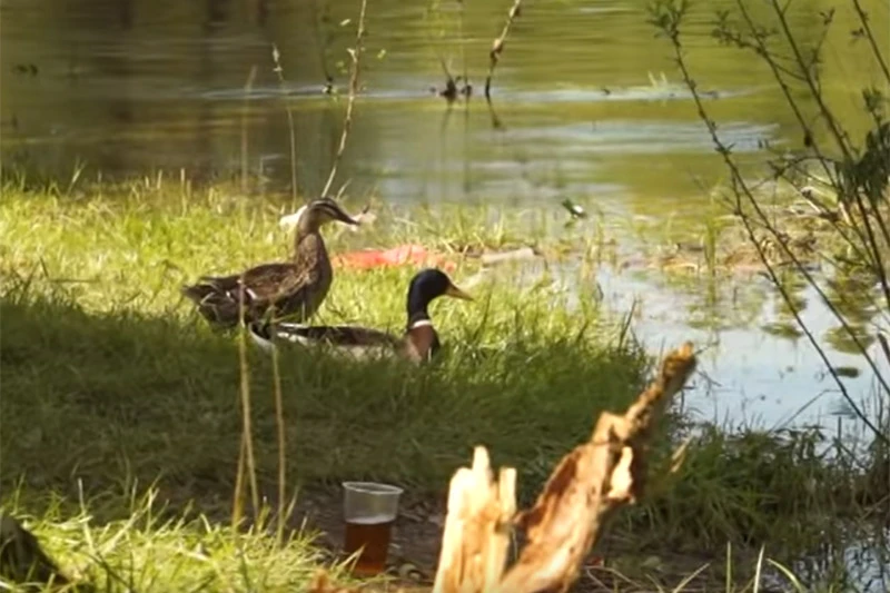 VIDEO | Pogledajte na što liči Bunica nakon roštilja