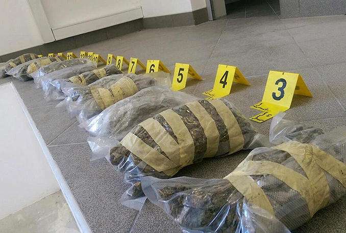 Na Bijači ''pali'' Crnogorci s 10,5 kg skunka