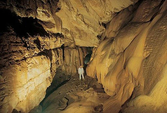 Učenici iz Hercegovine sudjelovali u 'Maloj školi speleologije'