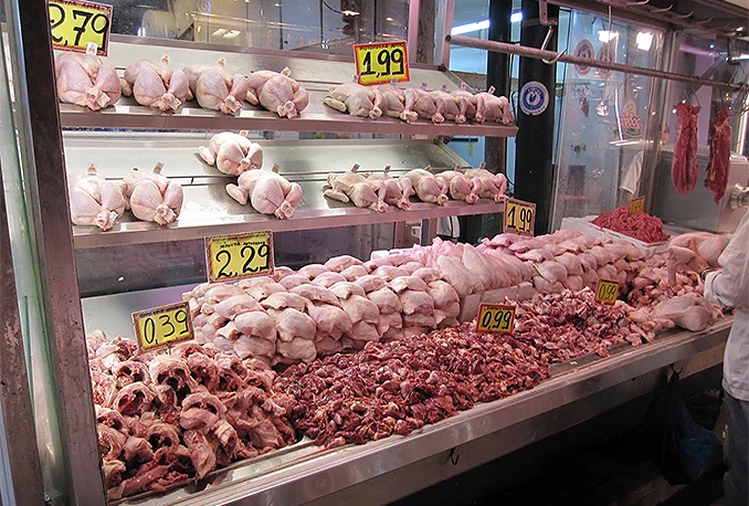 U BiH se ništa ne zna o učinku antibiotika na bakterije