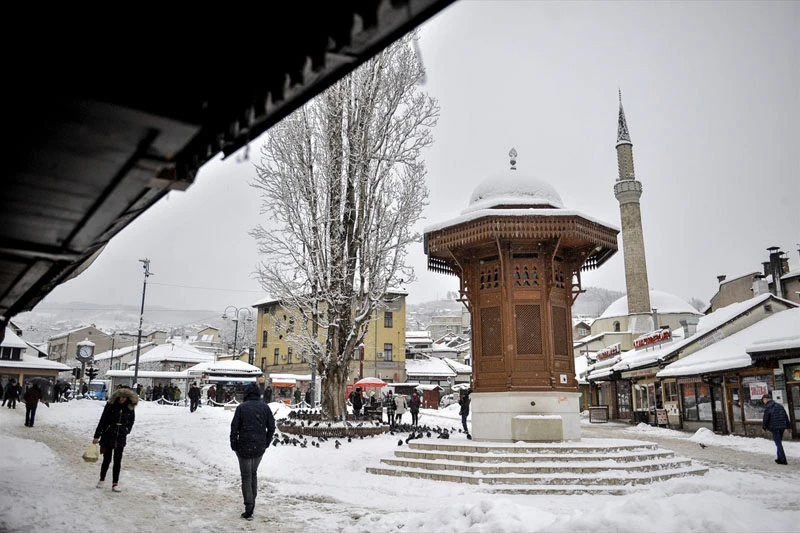 Sarajevski radnici "Parka" u borbi da sačuvaju zelenilo grada