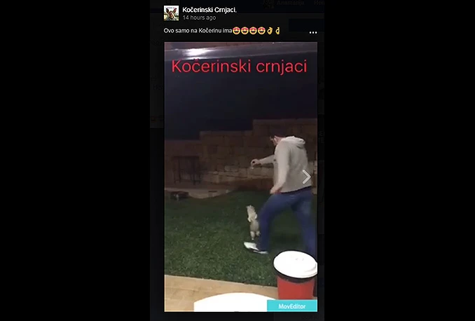 VIDEO | U Kočerinu se hvale zlostavljanjem životinja