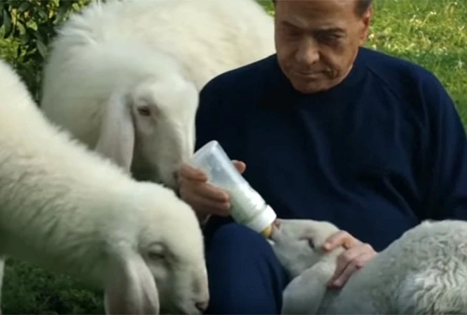 Berlusconi ljubi janjce i poziva Talijane da ne jedu meso za Uskrs