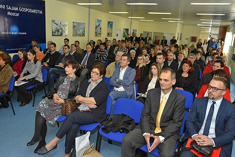 Grad Mostar i španjolska korporacija planiraju sadnju 1.000 hektara masline