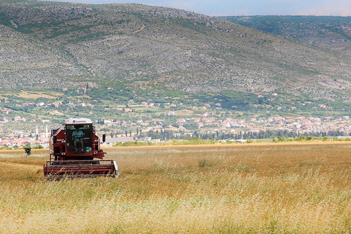 Čekanje na strategiju: Milijuni prolaze, poljoprivrednici bez razvoja